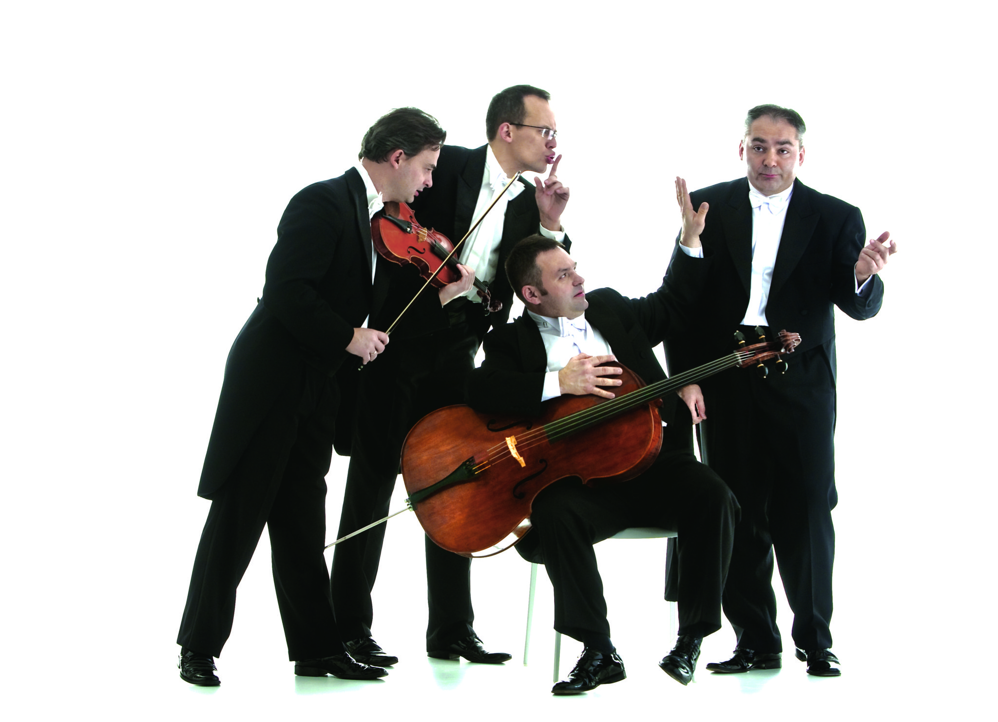 MozART group – Sächsische Mozart-Gesellschaft e.V.